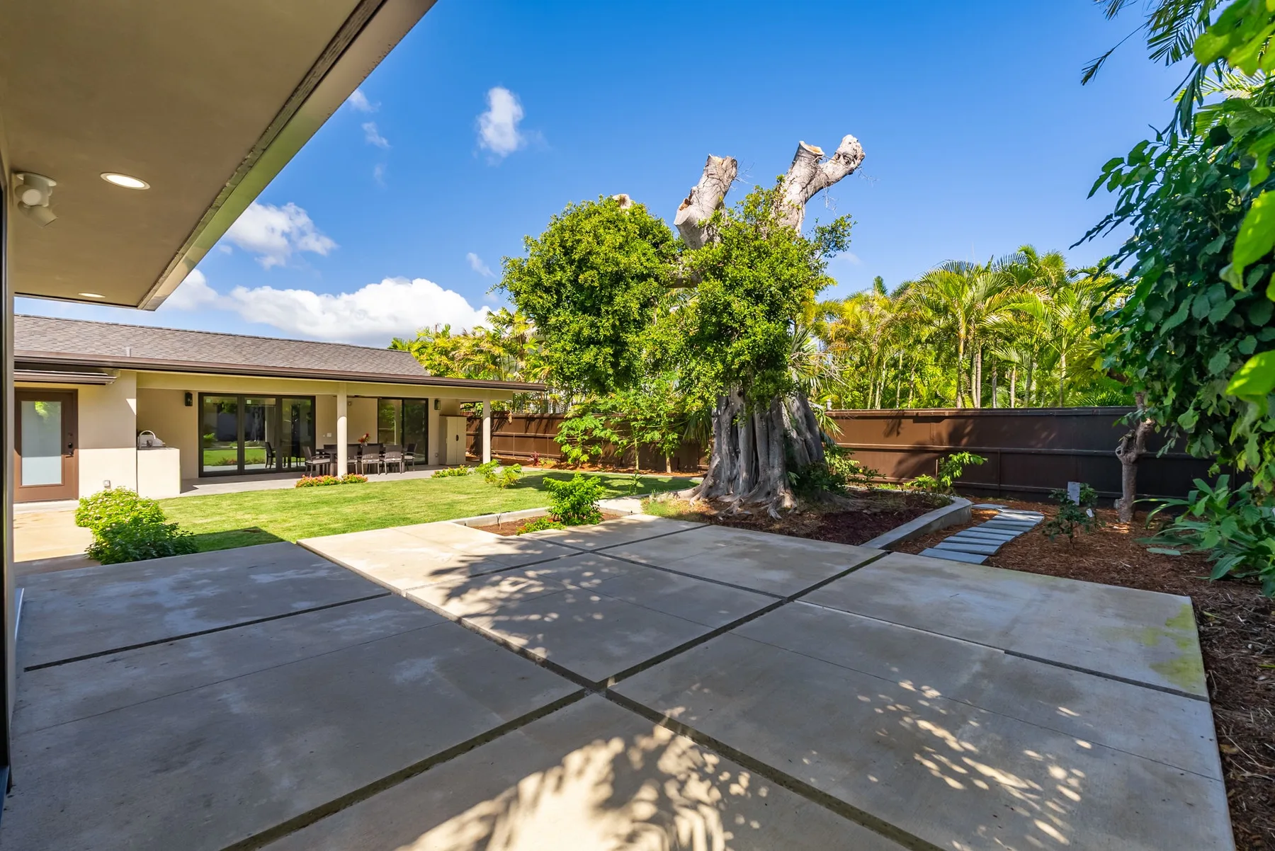 A paved courtyard with a large tree, lawn, and low buildings.
