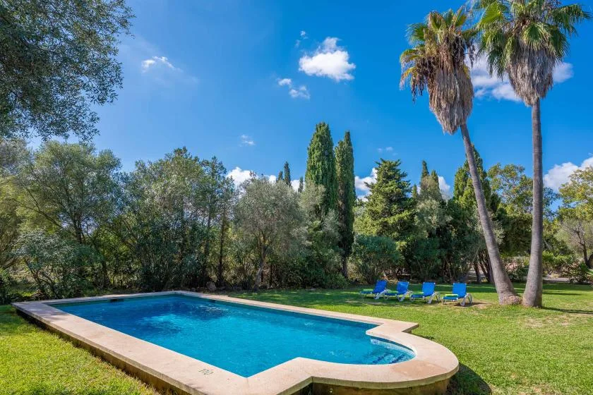 An outdoor swimming pool sits beside a grassy lawn and tall trees.
