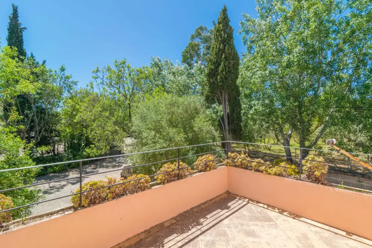 A sunny outdoor terrace overlooks leafy trees and greenery.