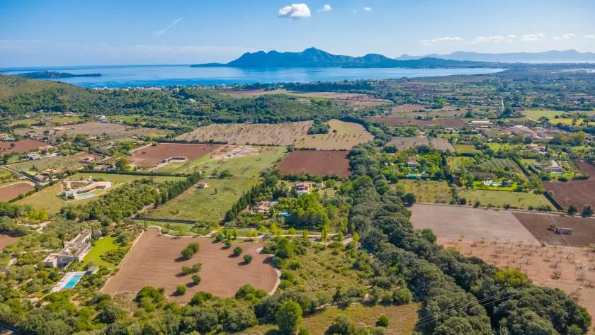 An aerial view of patchwork fields and trees, with a coastline in the distance.