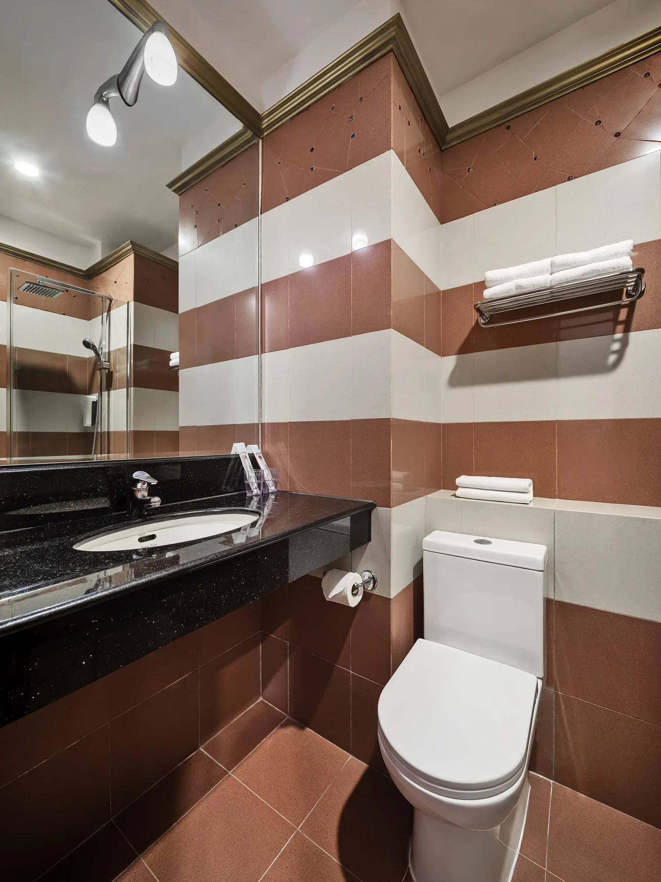 Superior Room bathroom