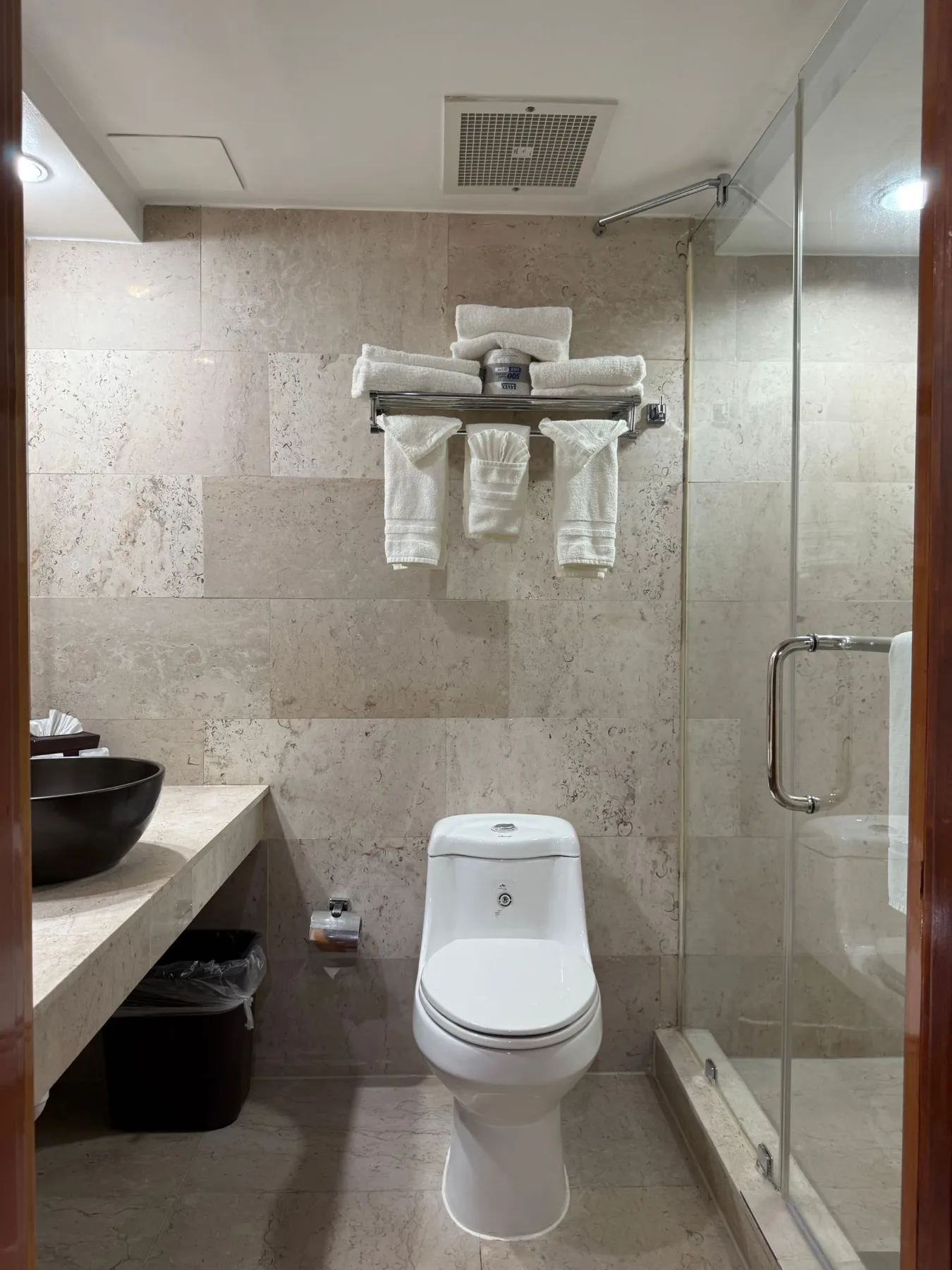 Baño con inodoro, ducha y lavabo.