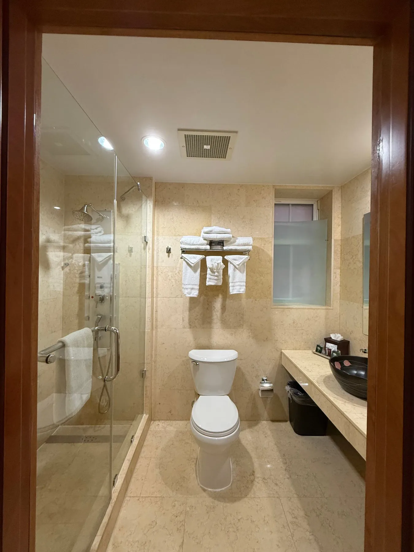 Baño con inodoro, ducha y lavabo.