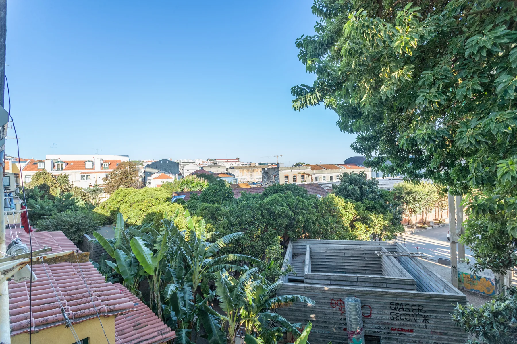 Vista urbana frondosa con tejados y edificios bajo un cielo despejado.