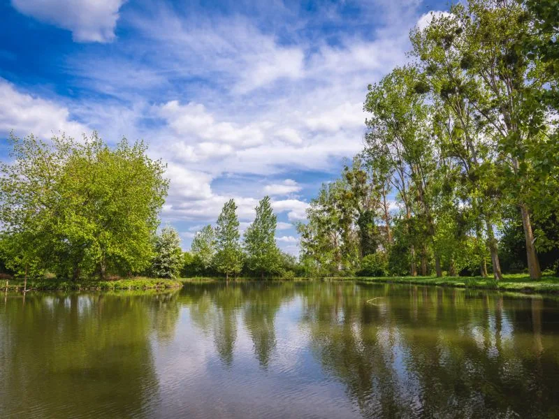 Domaine grounds