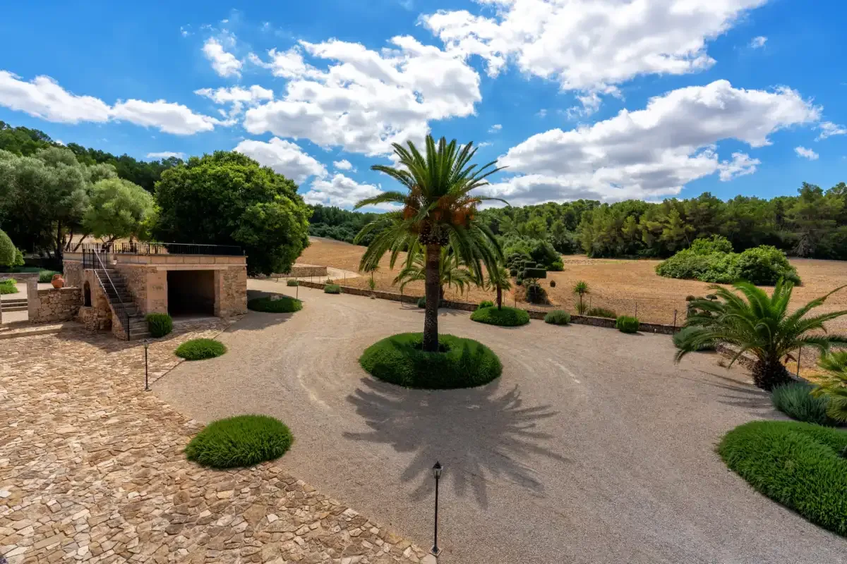 A landscaped courtyard with palm trees and a stone walkway.