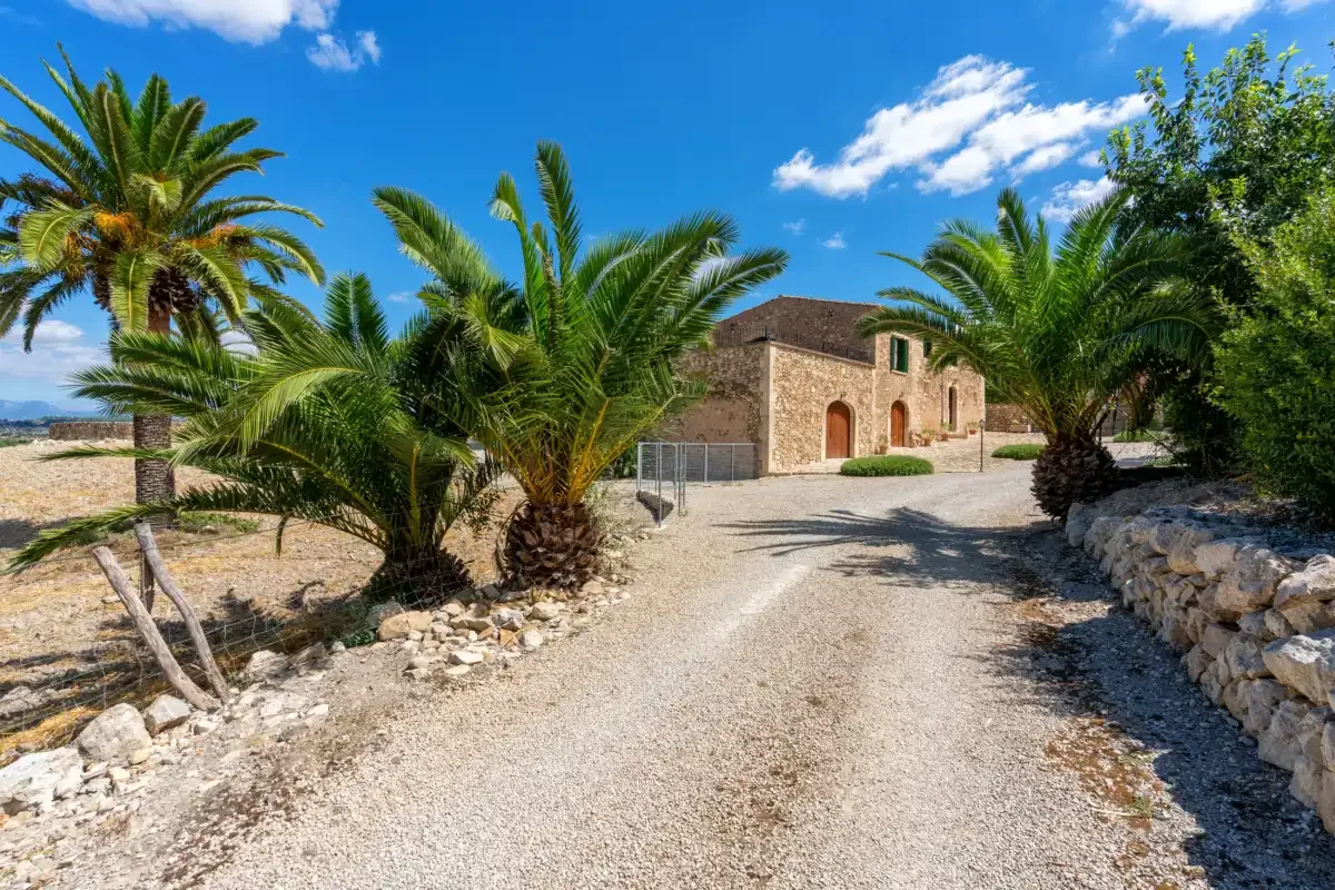 A stone building stands beyond a gravel driveway lined with palm trees.