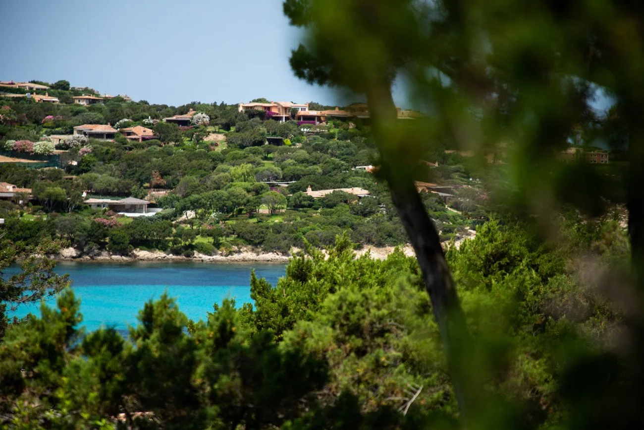 A turquoise bay and green hillside dotted with houses are seen through foreground trees.