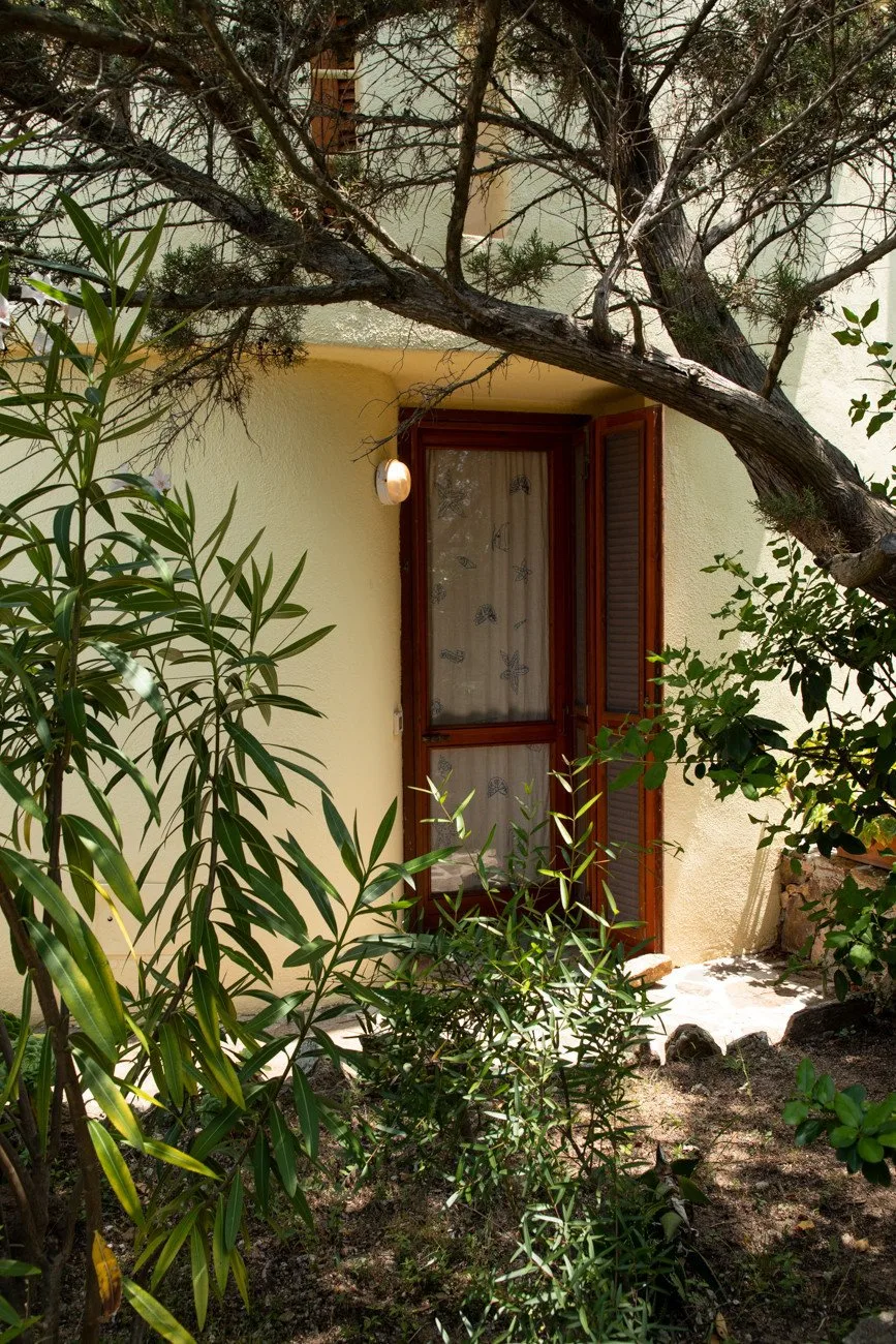 A garden scene with a window and leafy plants beside a cream-colored building.