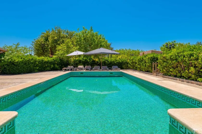 Una piscina rodeada por una terraza pavimentada, vegetación y tumbonas a la sombra.