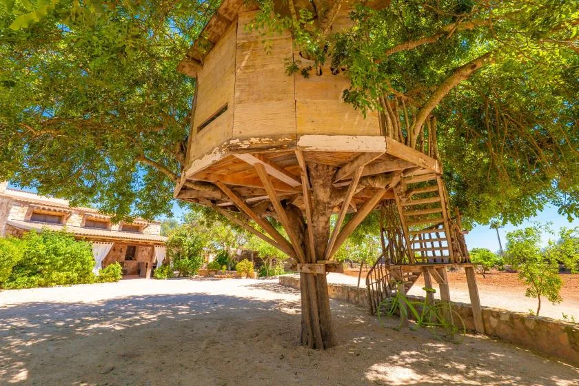 Una casa de madera en un árbol se alza entre ramas frondosas sobre un patio soleado.