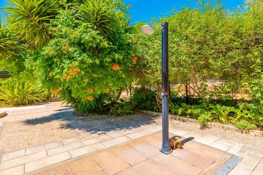 Una ducha exterior está junto a un camino pavimentado entre abundante vegetación tropical.