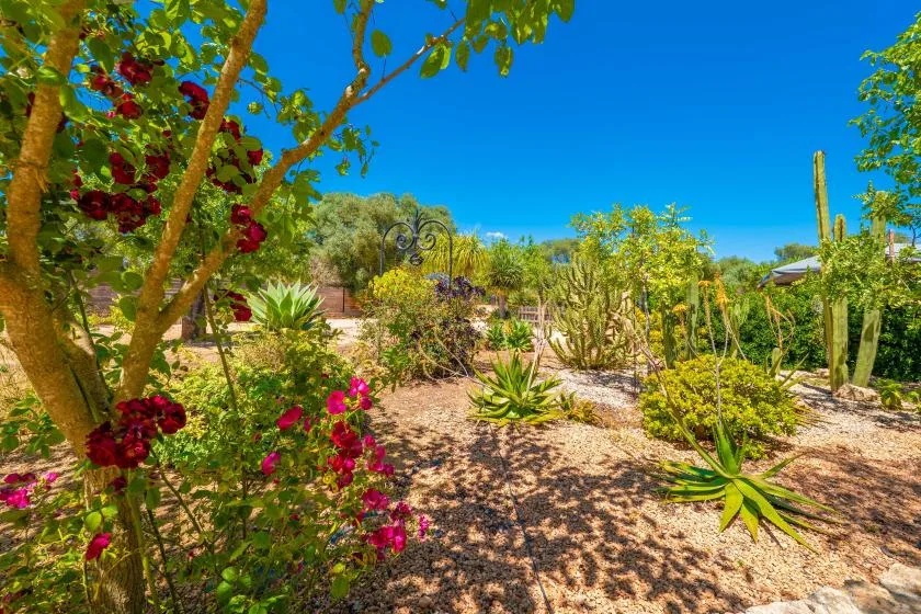 Un jardín desértico con plantas en flor y cactus altos bajo un cielo azul despejado.