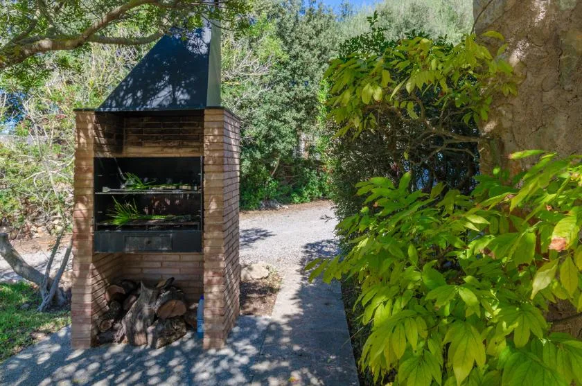 Una barbacoa exterior de ladrillo está junto a un sendero pavimentado y árboles frondosos.