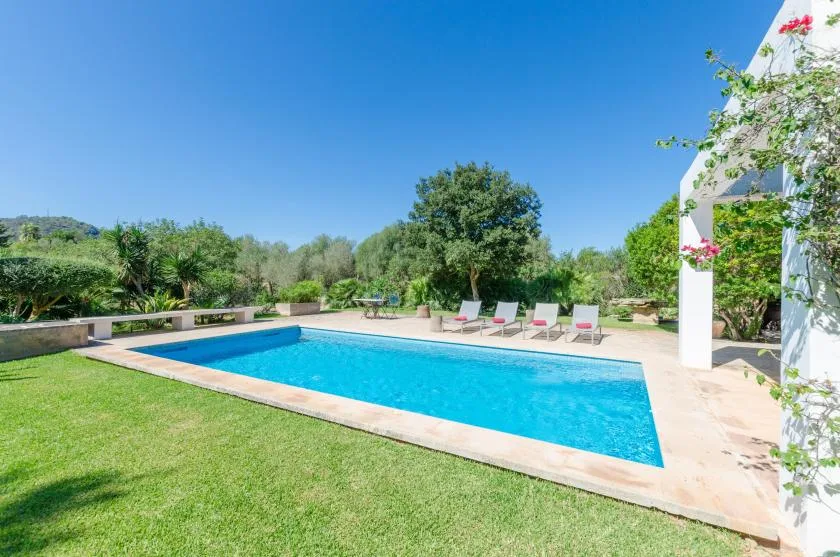 Una piscina al aire libre está junto a un césped, con tumbonas al fondo.