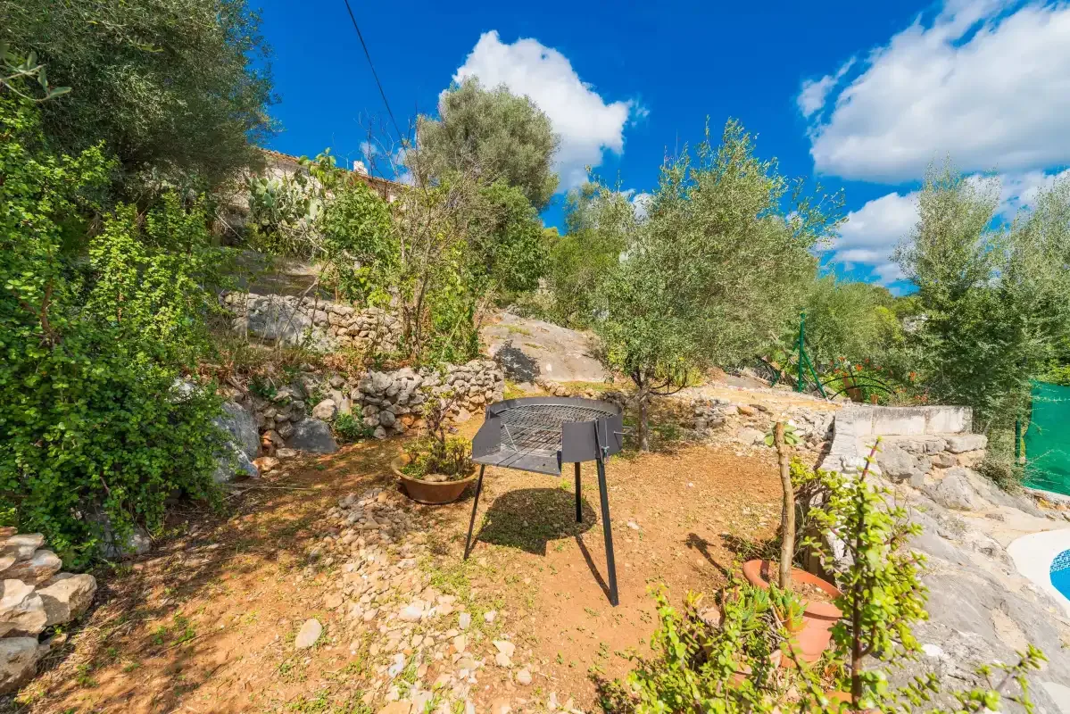 A terraced garden with trees, stone walls, and a barbecue.