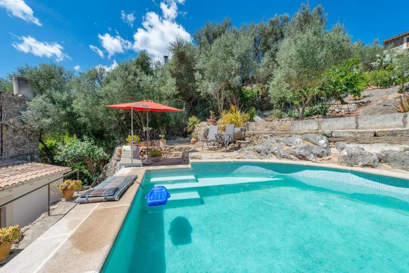 An outdoor swimming pool sits beside a stone terrace and leafy trees.