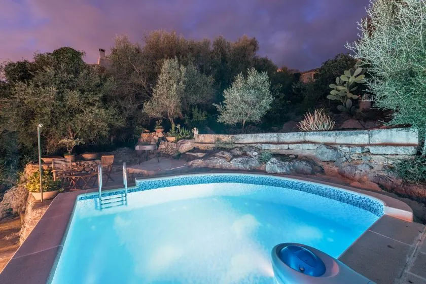 An outdoor swimming pool surrounded by trees and garden plants at dusk.