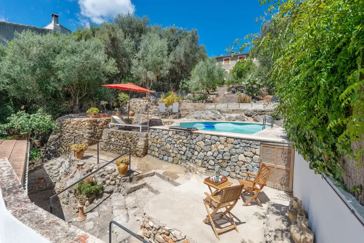 A stone terrace surrounds a swimming pool among trees and shrubs.