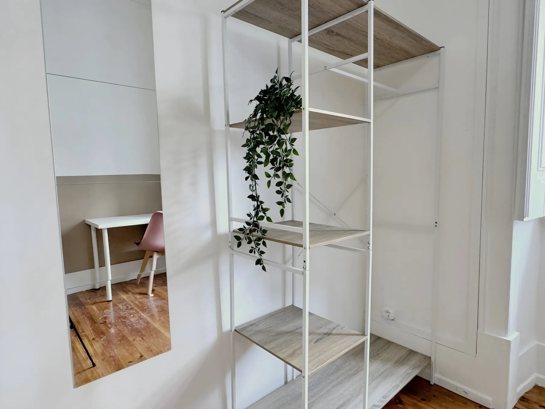 A bright interior with open shelving and a trailing green plant.