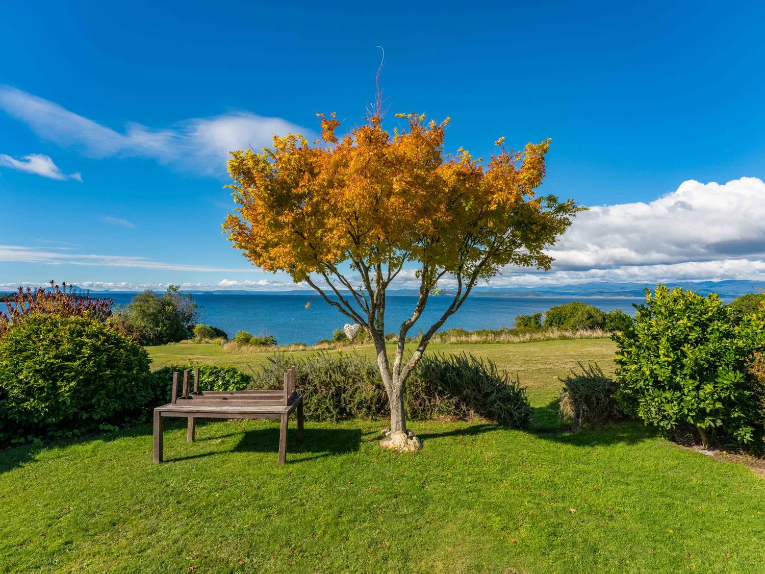 Un árbol con hojas otoñales sobre un césped cerca de un banco de madera orientado hacia una masa de agua en Henley - Omori Holiday Home, en Omori