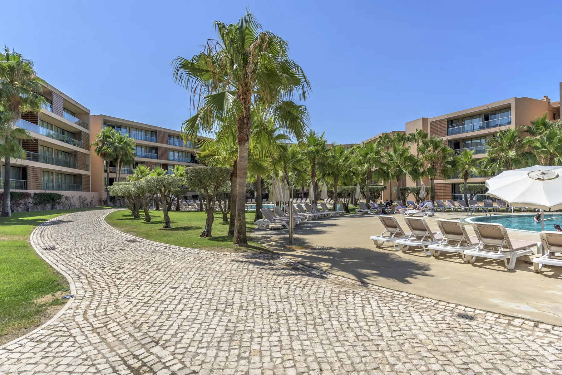 Un patio ajardinado con palmeras, asientos junto a la piscina y un camino curvo pavimentado.