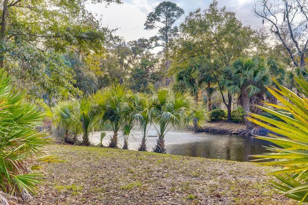 A wooded outdoor scene with palm trees lining a small pond.
