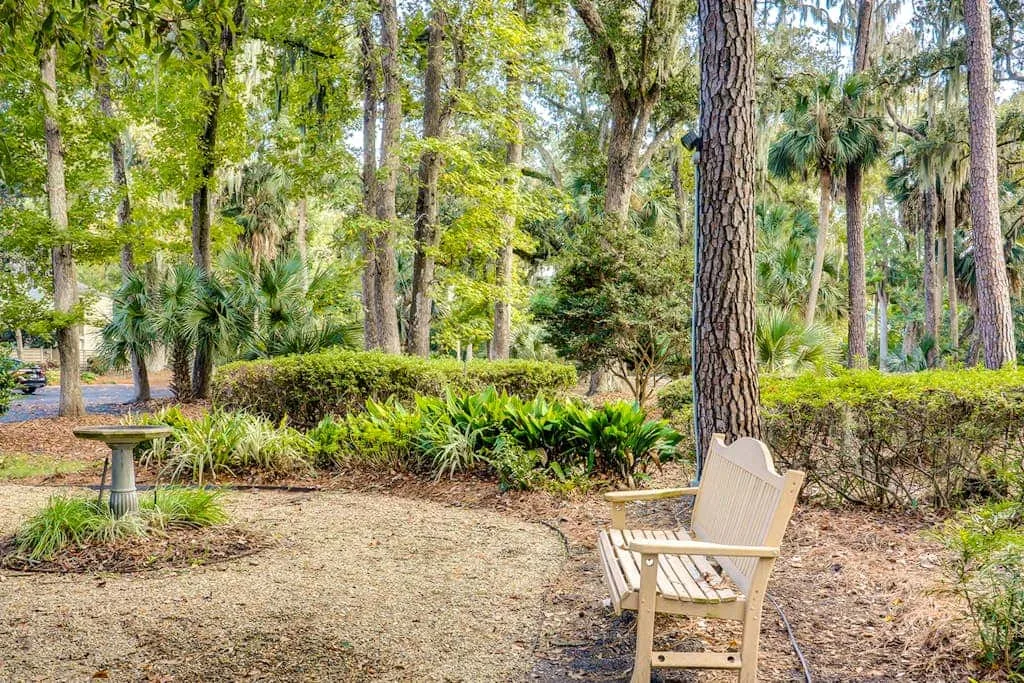 A garden seating area with a wooden chair beside a tree.