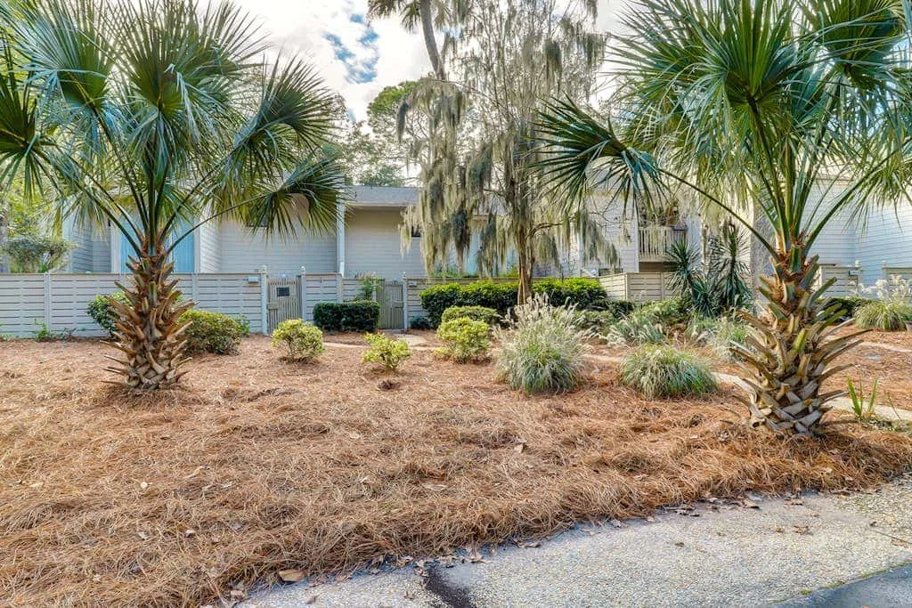 A landscaped outdoor area with palm trees and shrubs beside a light-colored building.