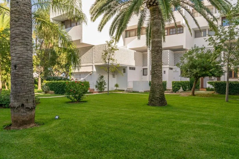 A white multi-story building stands behind a green lawn and palm trees.