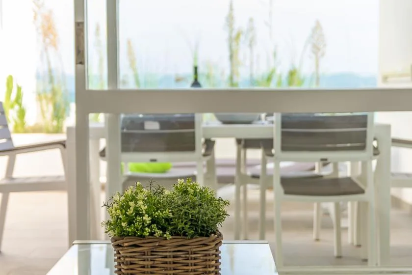 A bright dining area with a table, chairs, and a potted plant.