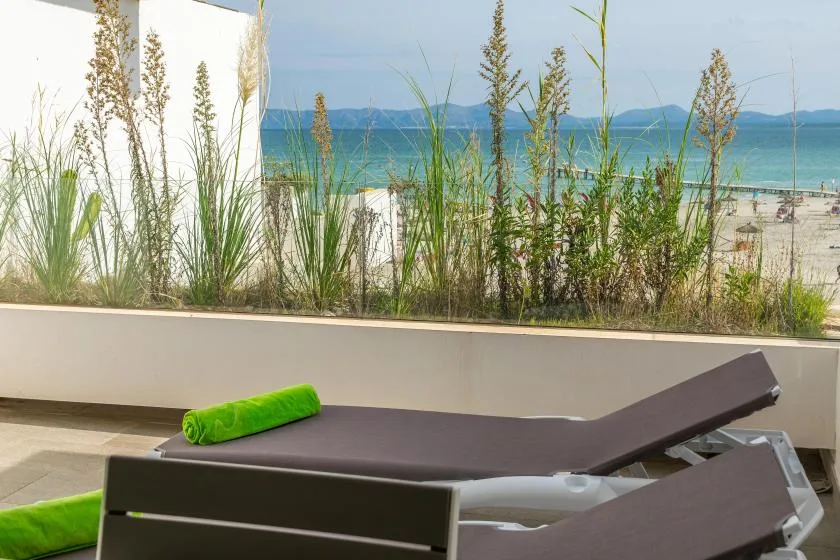 A beachside lounge area with reclining seats and tall ornamental grasses.