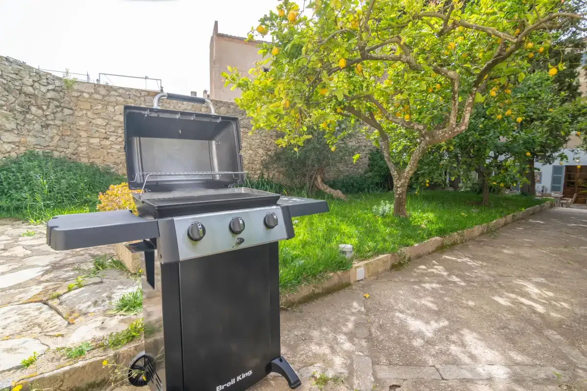 A garden patio features a barbecue grill beside a leafy tree.