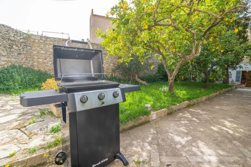 A garden patio with a barbecue grill beneath a leafy tree.