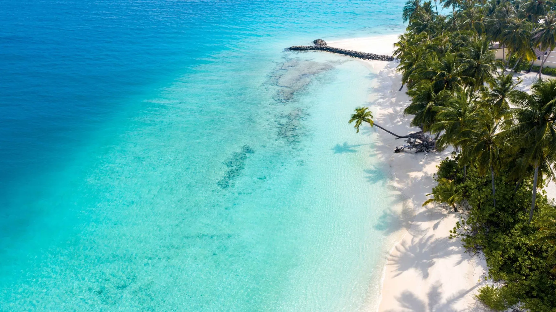 Aerial view of the beach
