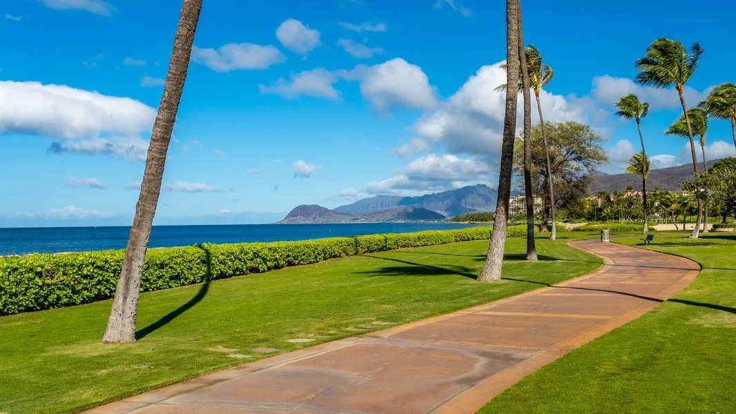 A paved path winds through a seaside park with palm trees and green lawns.