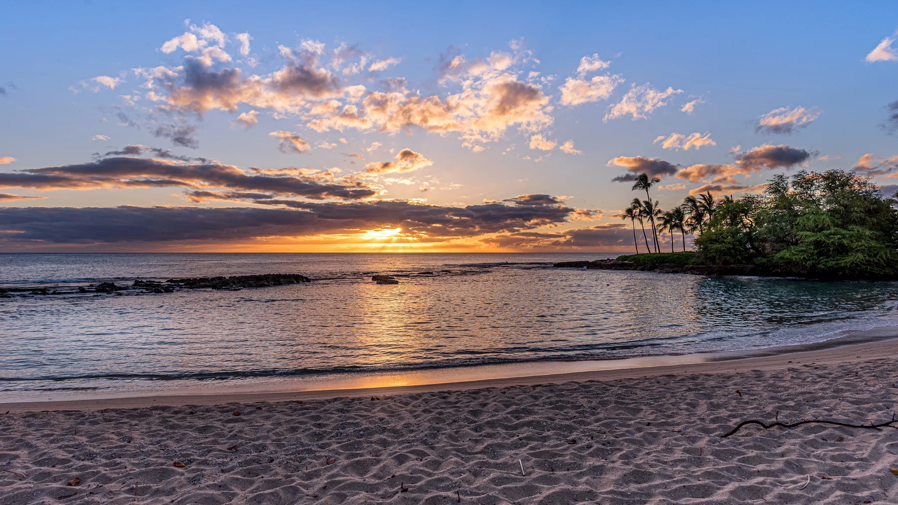 A beach at sunset, with calm water and palms along the shore.