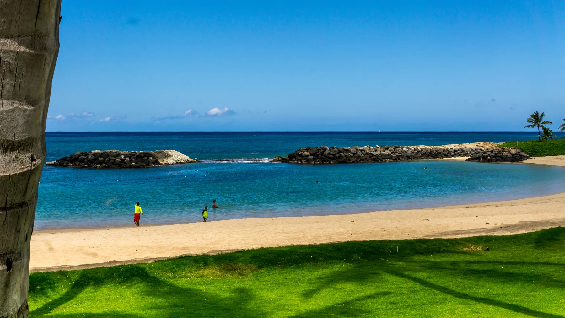 A sandy beach and calm turquoise water stretch beneath a clear blue sky.