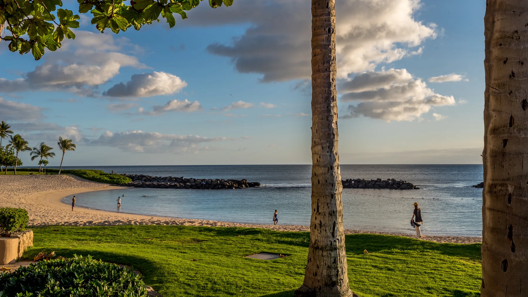 A tropical beach and calm ocean are seen beyond a green lawn.