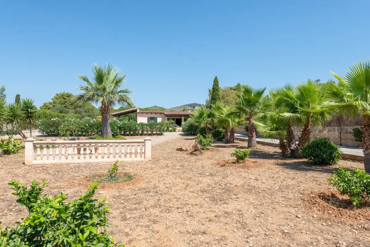 A dry garden with palm trees, shrubs, and a low stone balustrade.