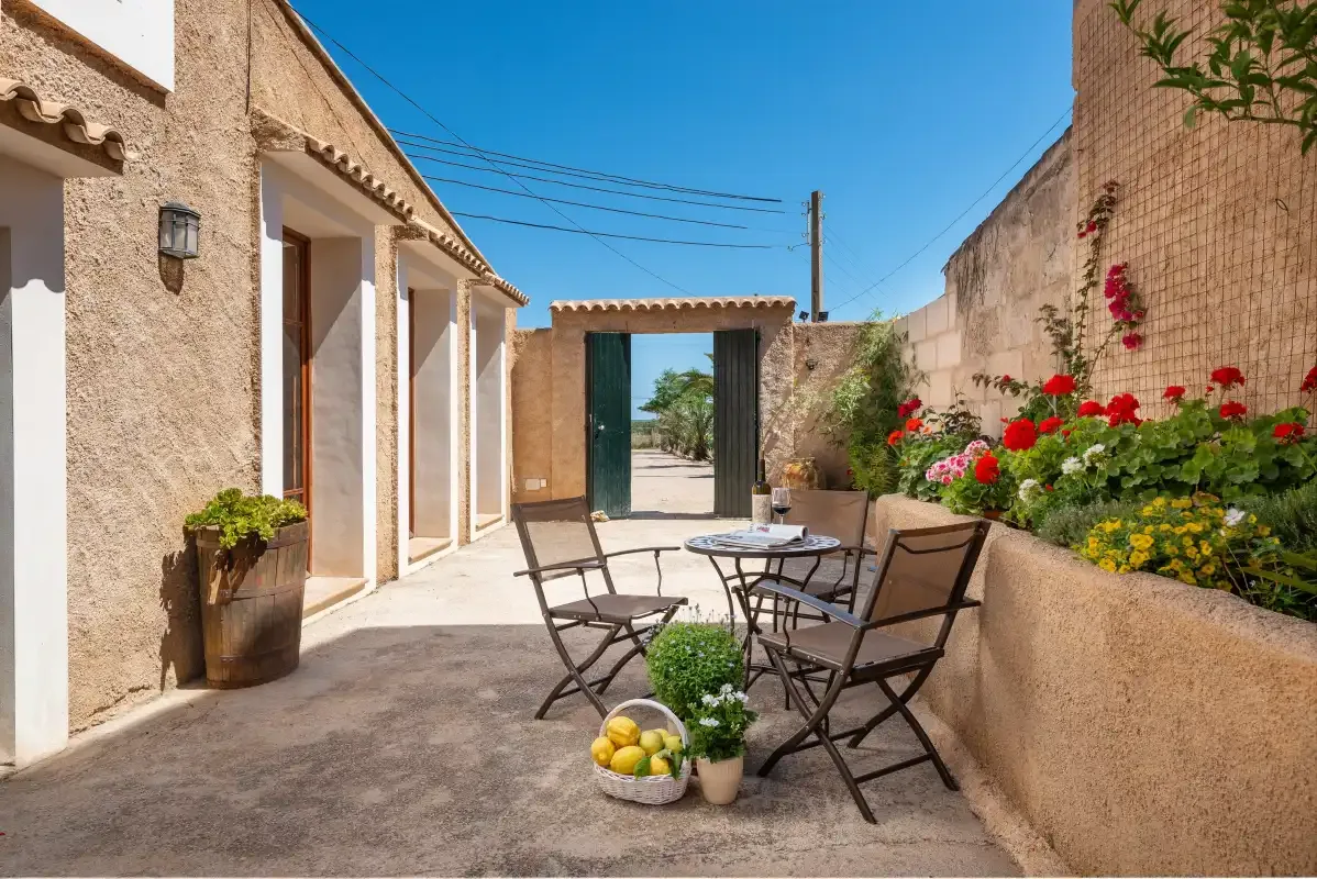 A sunlit outdoor patio with a table, seating, and flowering plants.