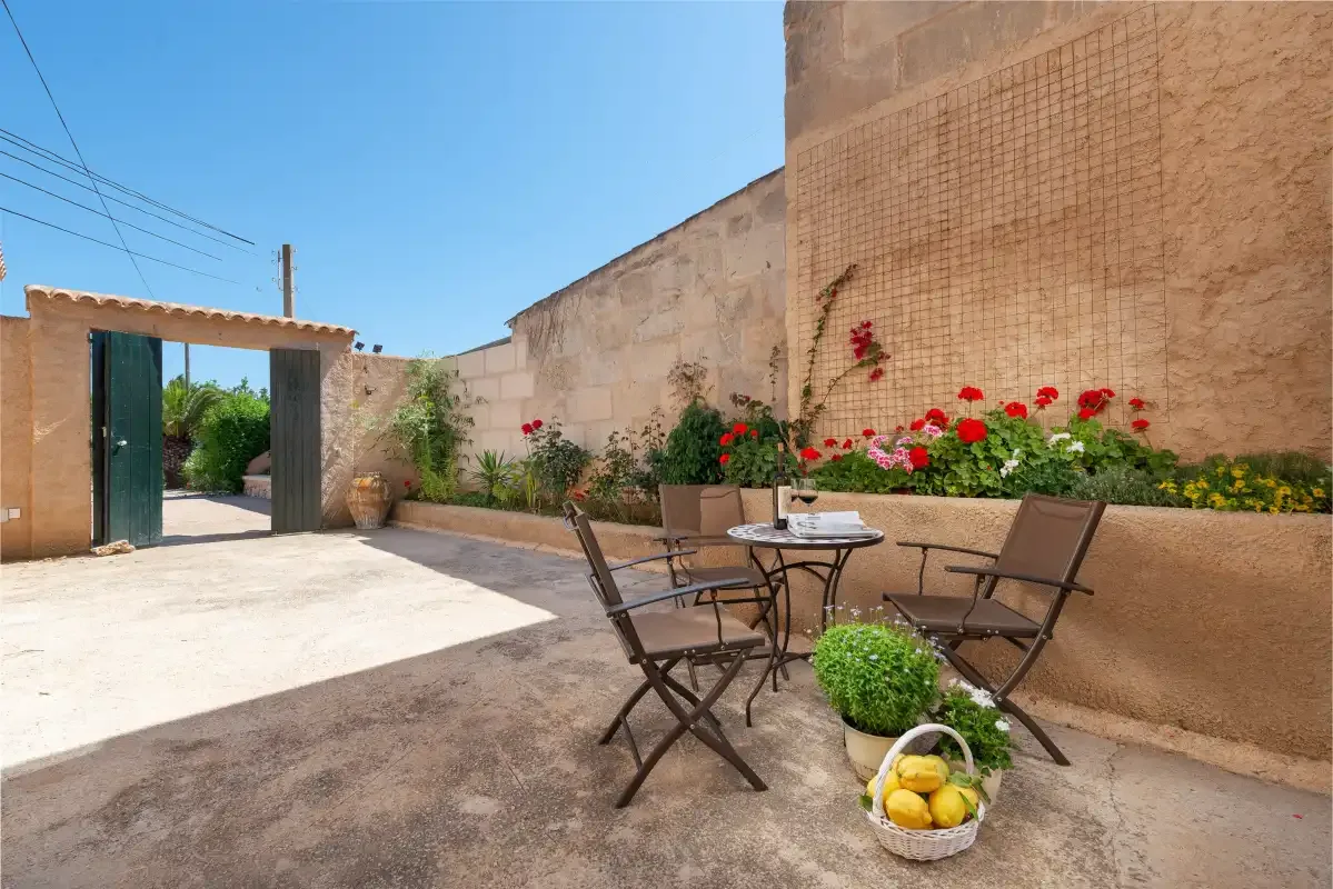 A sunny courtyard with outdoor seating beside a flower-filled planter.