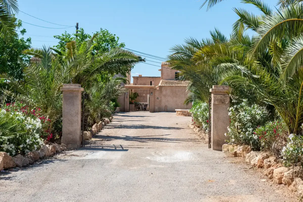 A palm-lined driveway leads to a house beyond a stone entrance.