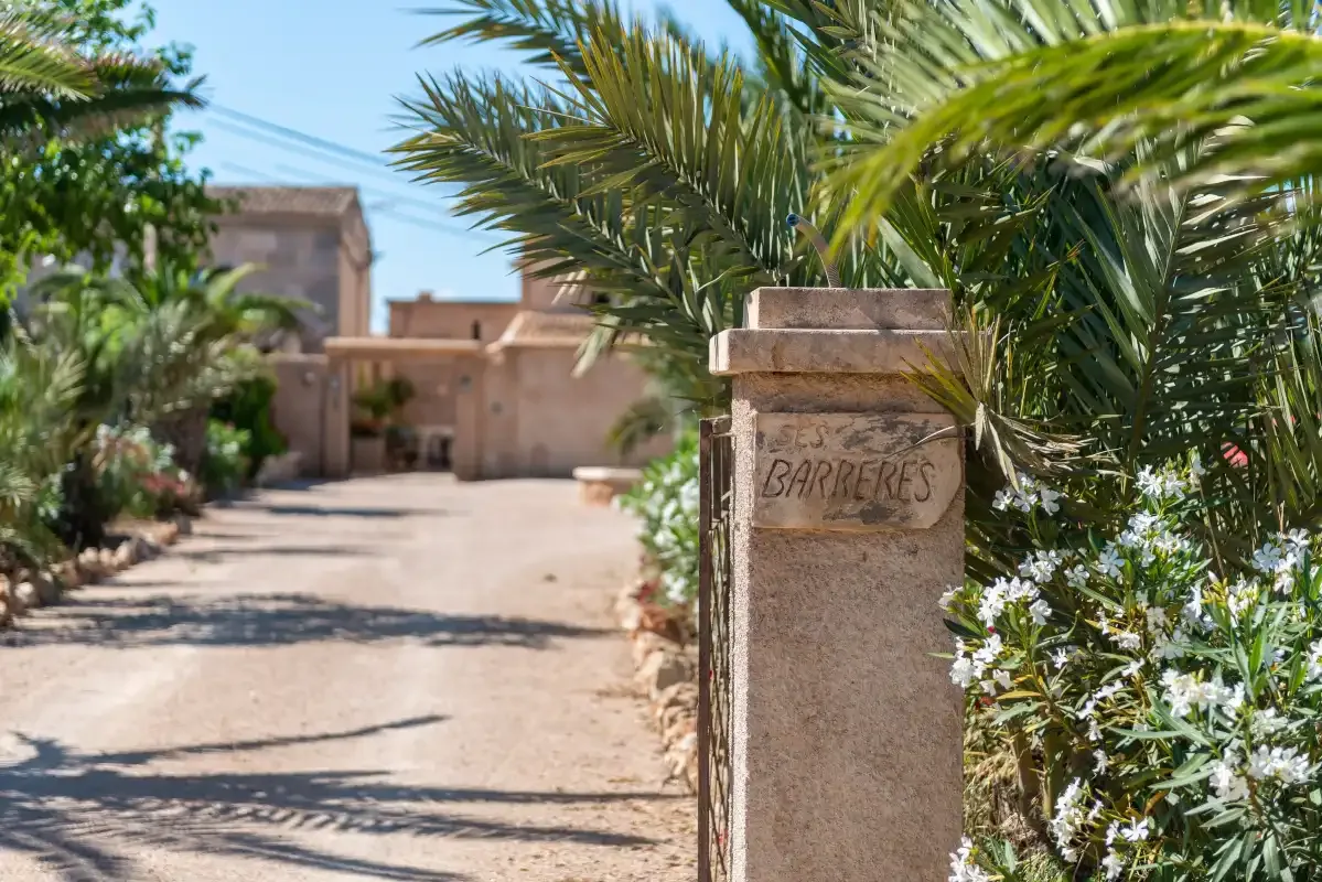 A paved entrance path leads toward a low building, bordered by palms and greenery.
