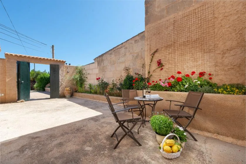 A sunny outdoor patio with a small table, seating, and flowering plants.