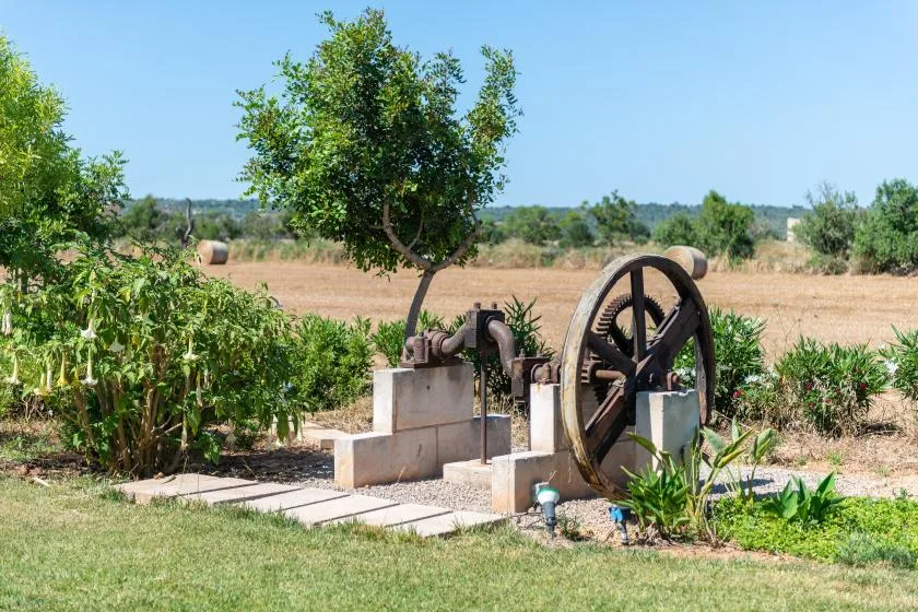 A garden irrigation pump stands beside a tree and cultivated fields.