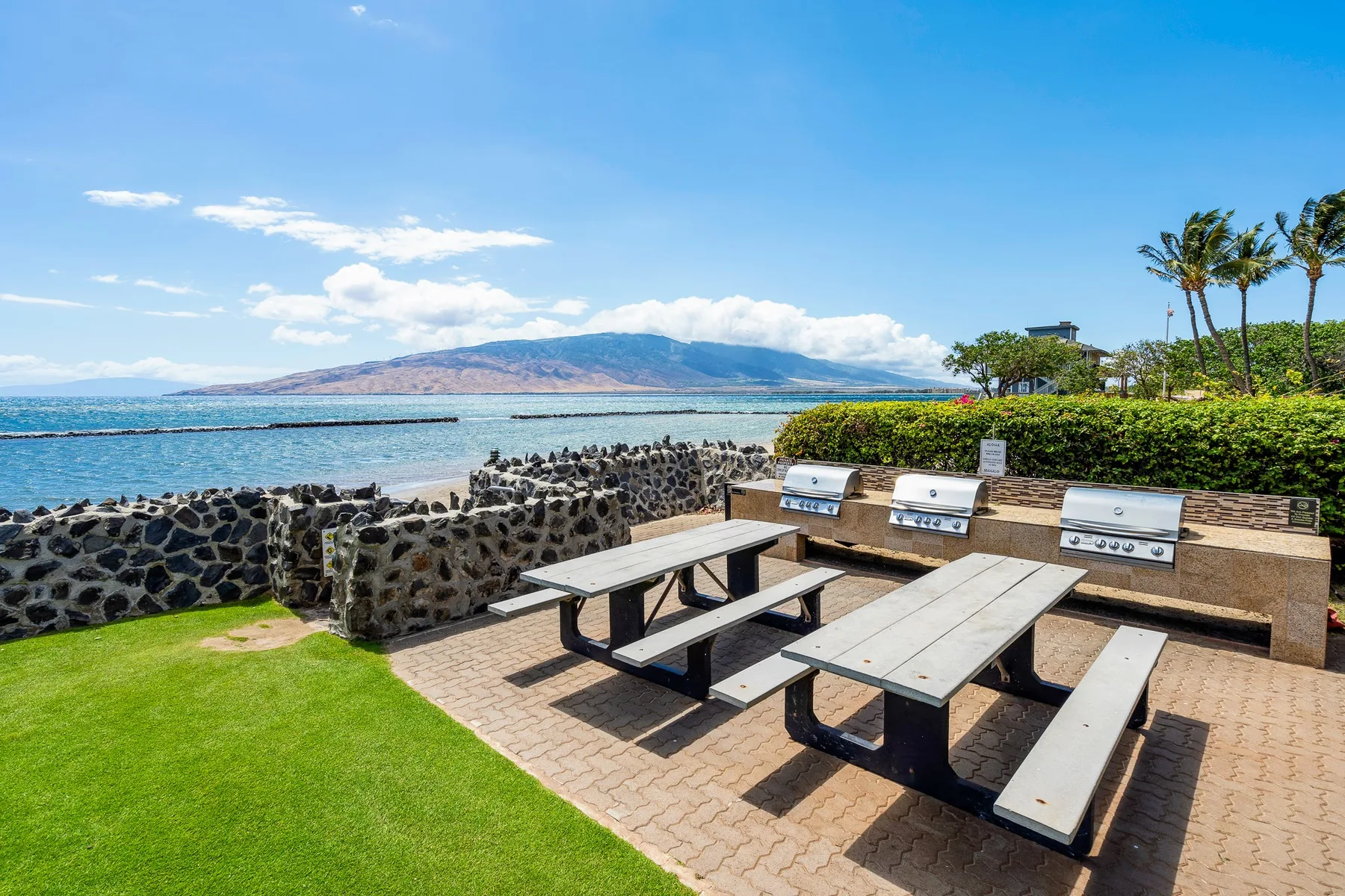 Una zona de picnic junto al mar, con mesas al aire libre y el océano.