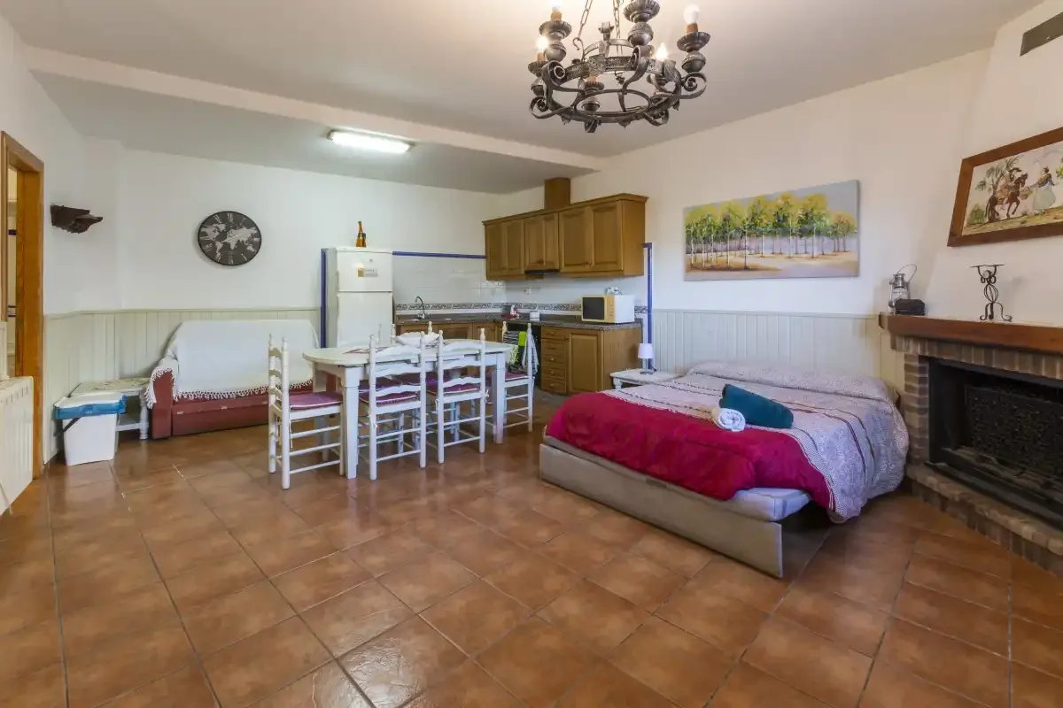 Sala de estar y comedor combinados con una cama, una mesa y una chimenea.