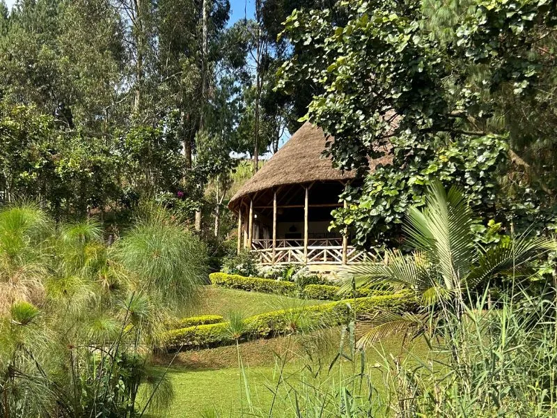 Restaurante Bunyonyi