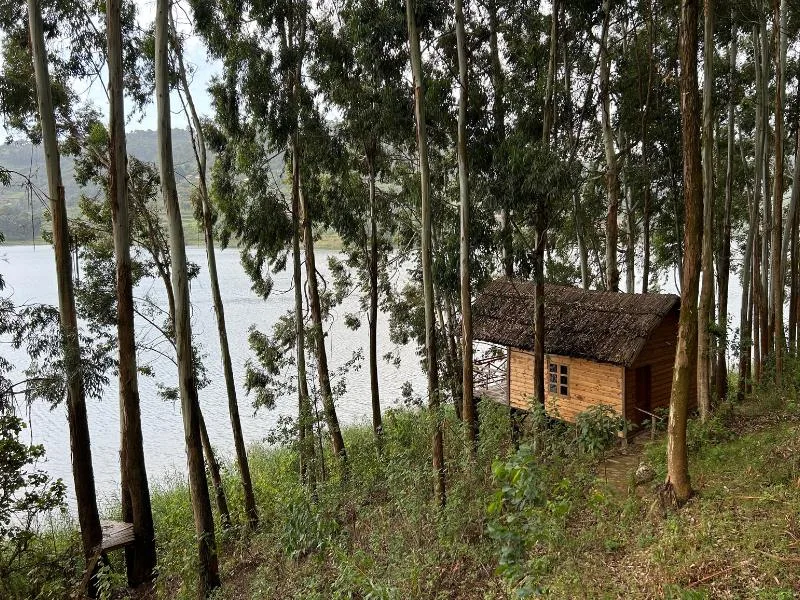 Casa en el árbol Marigold